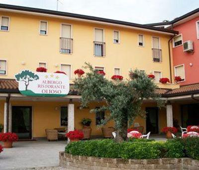 фото отеля Olioso Hotel Peschiera del Garda