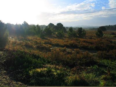 фото отеля Nature Paradise