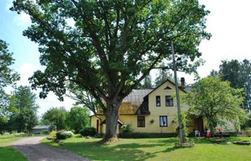 фото отеля Guest House Kalbakas