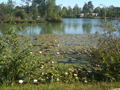 фото отеля Camping Les Etangs Mina