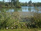 фото отеля Camping Les Etangs Mina