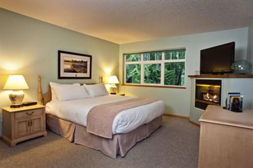 фото отеля Jamie's Rainforest Inn