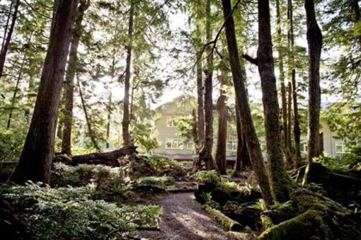 фото отеля Jamie's Rainforest Inn