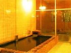 фото отеля Radon Onsen Ryokan Tenryukaku