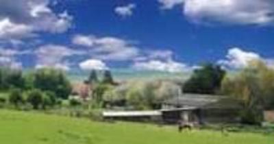 фото отеля Crockshard Farmhouse Guesthouse