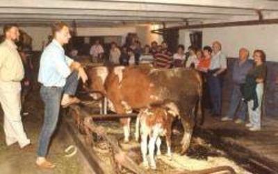 фото отеля Farm Holidays Povsin