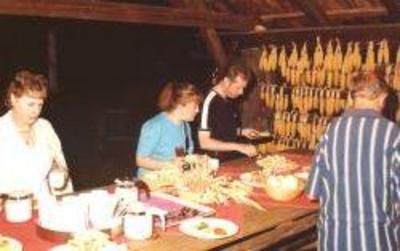 фото отеля Farm Holidays Povsin