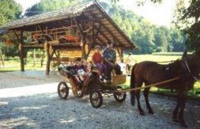 фото отеля Farm Holidays Povsin