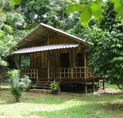 фото отеля Khao Sok Evergreen House