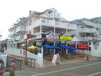 The Royalton Hotel