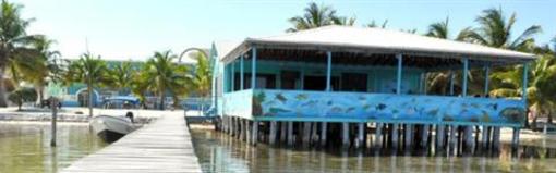 фото отеля Rainbow Hotel Caye Caulker