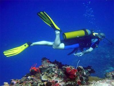 фото отеля Pousada Ilha Formosa