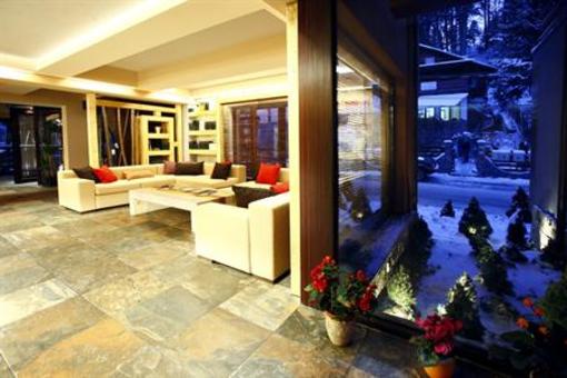 фото отеля Ioana Hotel Sinaia