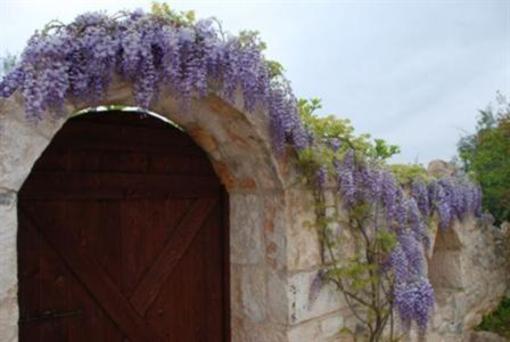 фото отеля Antica Aia B&B
