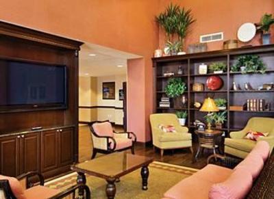 фото отеля Hampton Inn & Suites Tampa Wesley Chapel