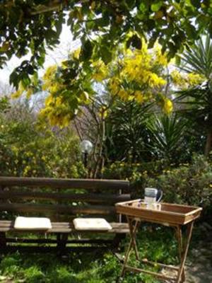 фото отеля Vigna Longa Bed & Breakfast San Cipriano Picentino