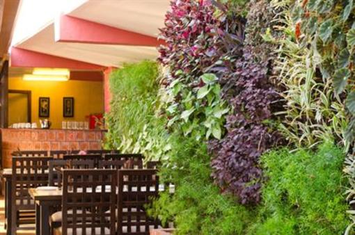 фото отеля Saj Resorts