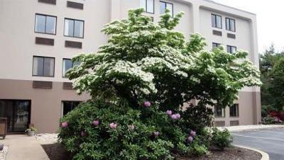 фото отеля Hampton Inn Exton