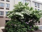 фото отеля Hampton Inn Exton