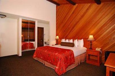 фото отеля BEST WESTERN PLUS Tree House