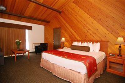 фото отеля BEST WESTERN PLUS Tree House