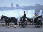 фото отеля Four Points by Sheraton Niagara Falls Fallsview