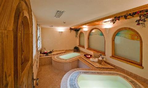 фото отеля Hotel Des Alpes Soraga