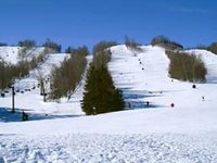 Blue Mountain Resort