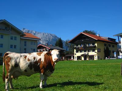 фото отеля Stoll's Sporthotel