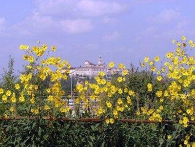 фото отеля Il Poggiolo Delle Rose Bed & Breakfast Impruneta