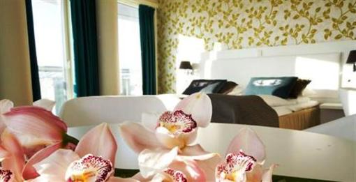 фото отеля Rica Hotel Alta