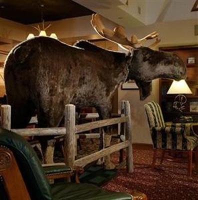 фото отеля North Conway Grand Hotel