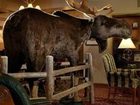 фото отеля North Conway Grand Hotel