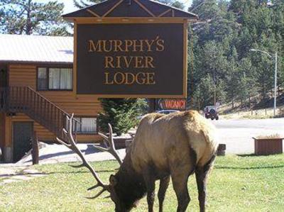 фото отеля Murphy's River Lodge