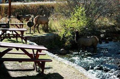 фото отеля Murphy's River Lodge