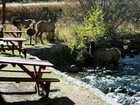 фото отеля Murphy's River Lodge