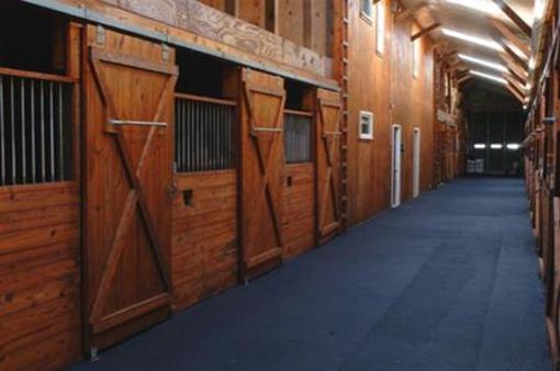 фото отеля B & B Ranch