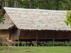 фото отеля Borneo Proboscis River Lodge