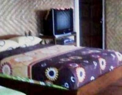 фото отеля Hotel Tara Singaraja
