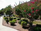 фото отеля Courtyard by Marriott Danville