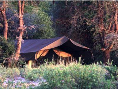 фото отеля Lemala Manyara Camp Arusha