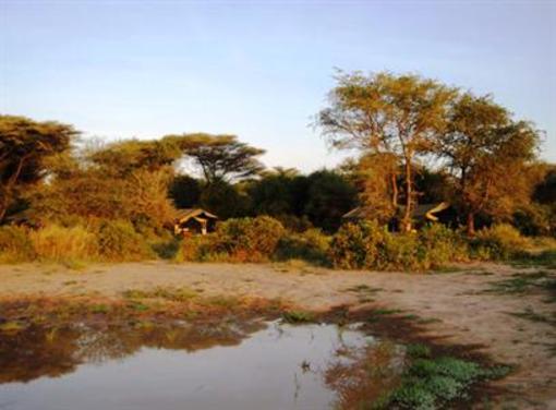 фото отеля Lemala Manyara Camp Arusha