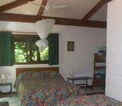 фото отеля Daintree Deep Forest Lodge