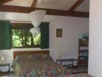 Daintree Deep Forest Lodge