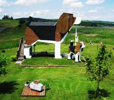 фото отеля Dog Bark Park Inn