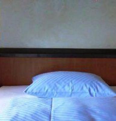 фото отеля Main Hotel Eckert Margetshochheim