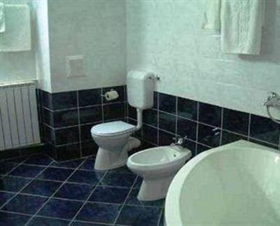 фото отеля Dana Hotel Satu Mare