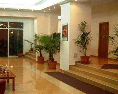 фото отеля Dana Hotel Satu Mare