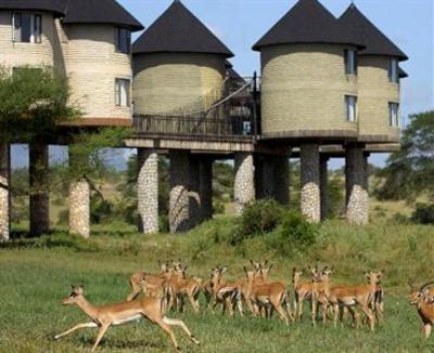 фото отеля Sarova Salt Lick Game Lodge