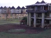 Sarova Salt Lick Game Lodge